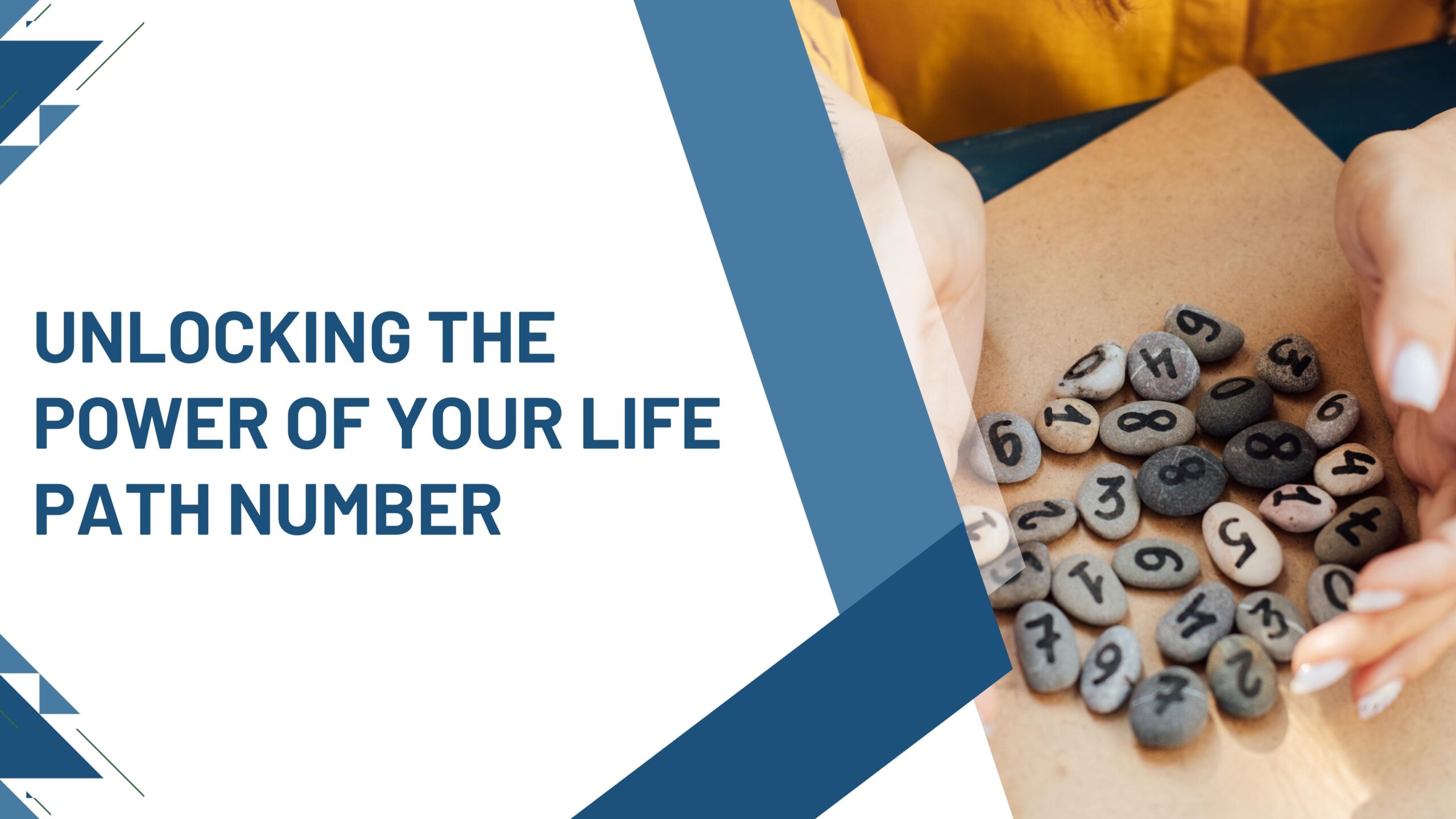 🔢 Unlocking the Power of Your Life Path Number